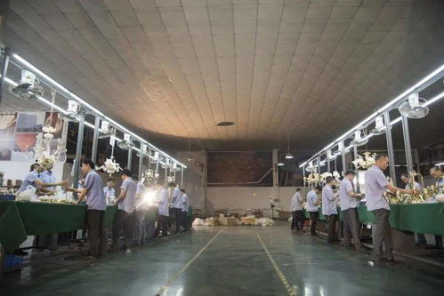 光影新境，幸福為燈 艾摩燈3.0極簡輕奢展廳與大師設計的共鳴